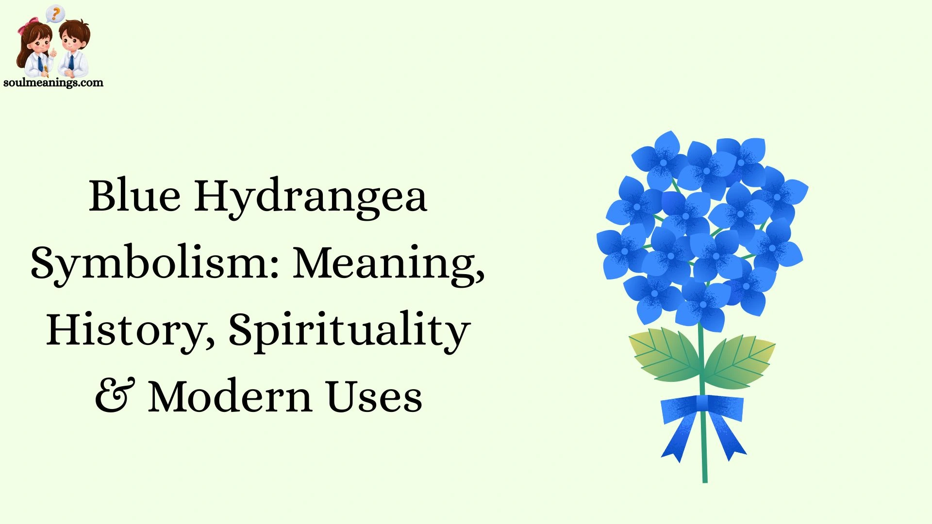 Blue Hydrangea Symbolism: Meaning, History, Spirituality & Modern Uses