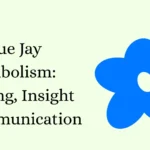 Blue Jay Symbolism: Meaning, Insight & Communication