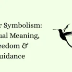 Feather Symbolism: Spiritual Meaning, Freedom & Guidance