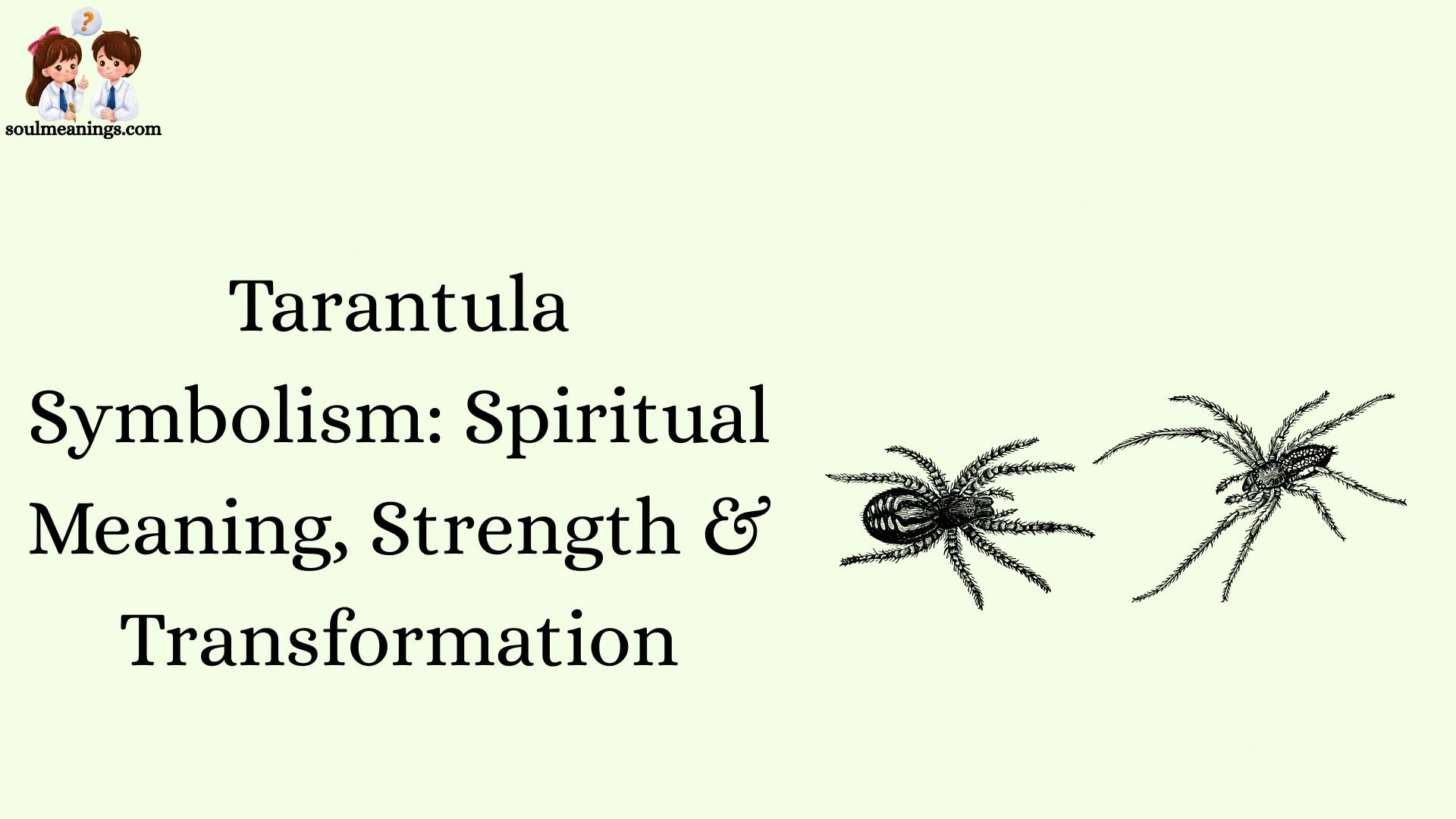 Tarantula Symbolism: Spiritual Meaning, Strength & Transformation