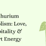Anthurium Symbolism: Love, Hospitality & Heart Energy