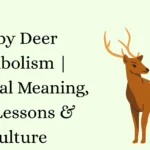 Baby Deer Symbolism | Spiritual Meaning, Life Lessons & Culture