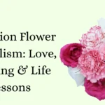 Carnation Flower Symbolism: Love, Meaning & Life Lessons