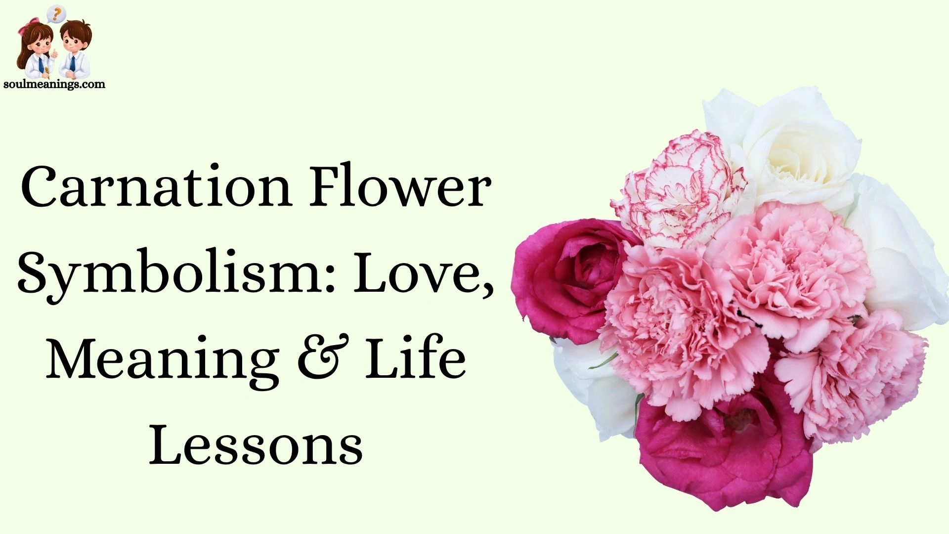 Carnation Flower Symbolism: Love, Meaning & Life Lessons