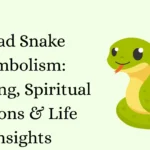 Dead Snake Symbolism: Meaning, Spiritual Lessons & Life Insights