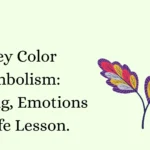 Grey Color Symbolism: Meaning, Emotions & Life Lesson.