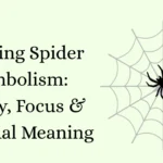 Jumping Spider Symbolism: Agility, Focus & Spiritual Meaning