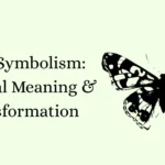 Moth Symbolism: Spiritual Meaning & Transformation