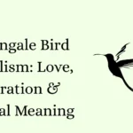 Nightingale Bird Symbolism: Love, Inspiration & Spiritual Meaning