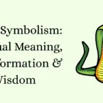 Snake Symbolism: Spiritual Meaning, Transformation & Wisdom