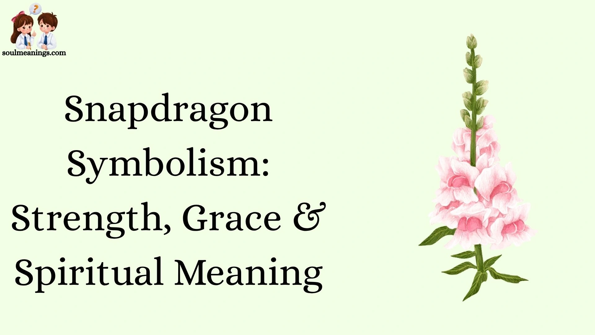 Snapdragon Symbolism: Strength, Grace & Spiritual Meaning