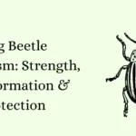 Stag Beetle Symbolism: Strength, Transformation & Protection