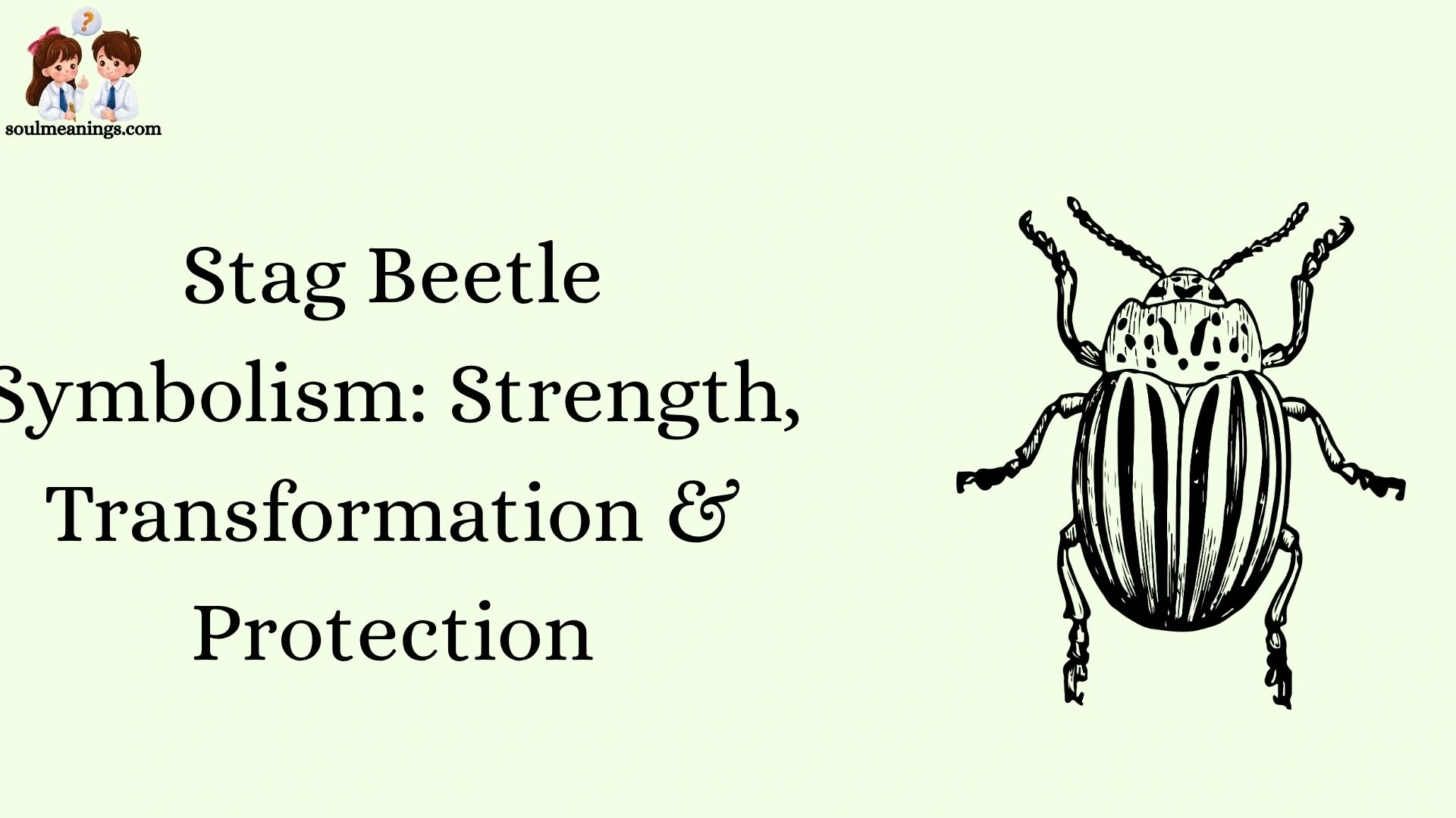 Stag Beetle Symbolism: Strength, Transformation & Protection