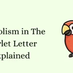 Symbolism in The Scarlet Letter Explained
