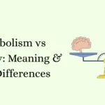 Symbolism vs Allegory: Meaning & Key Differences