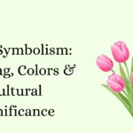 Tulip Symbolism: Meaning, Colors & Cultural Significance