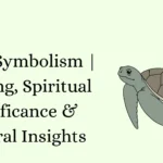 Turtle Symbolism | Meaning, Spiritual Significance & Cultural Insights
