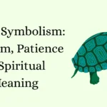 Turtle Symbolism: Wisdom, Patience & Spiritual Meaning