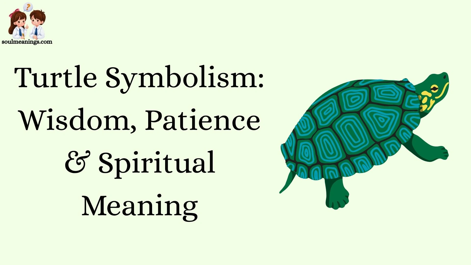 Turtle Symbolism: Wisdom, Patience & Spiritual Meaning