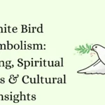 White Bird Symbolism: Meaning, Spiritual Lessons & Cultural Insights
