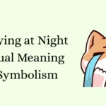 Cat Crying at Night Spiritual Meaning and Symbolism