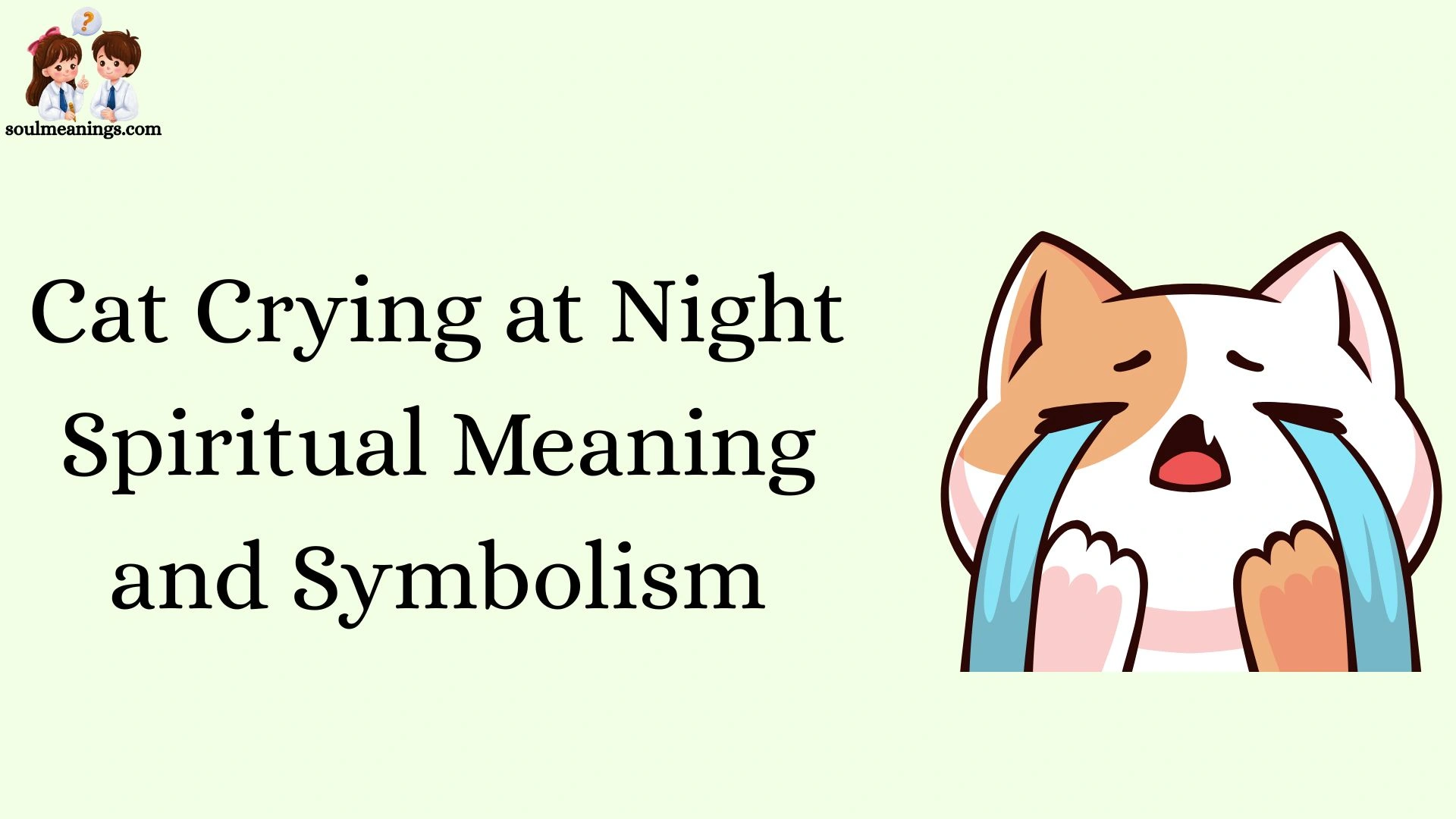 Cat Crying at Night Spiritual Meaning and Symbolism