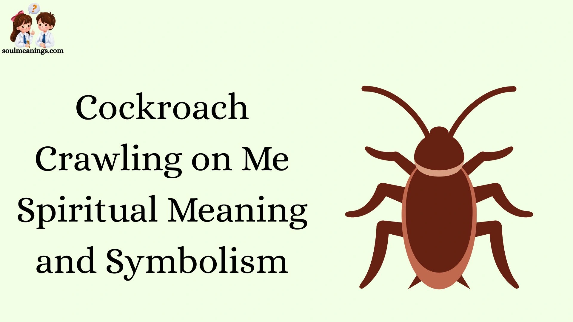 Cockroach Crawling on Me Spiritual Meaning and Symbolism
