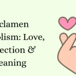 Cyclamen Symbolism: Love, Protection & Meaning