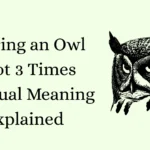 Hearing an Owl Hoot 3 Times Spiritual Meaning Explained