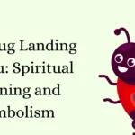 Ladybug Landing on You: Spiritual Meaning and Symbolism