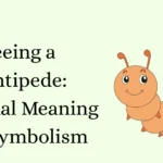 Seeing a Centipede: Spiritual Meaning and Symbolism