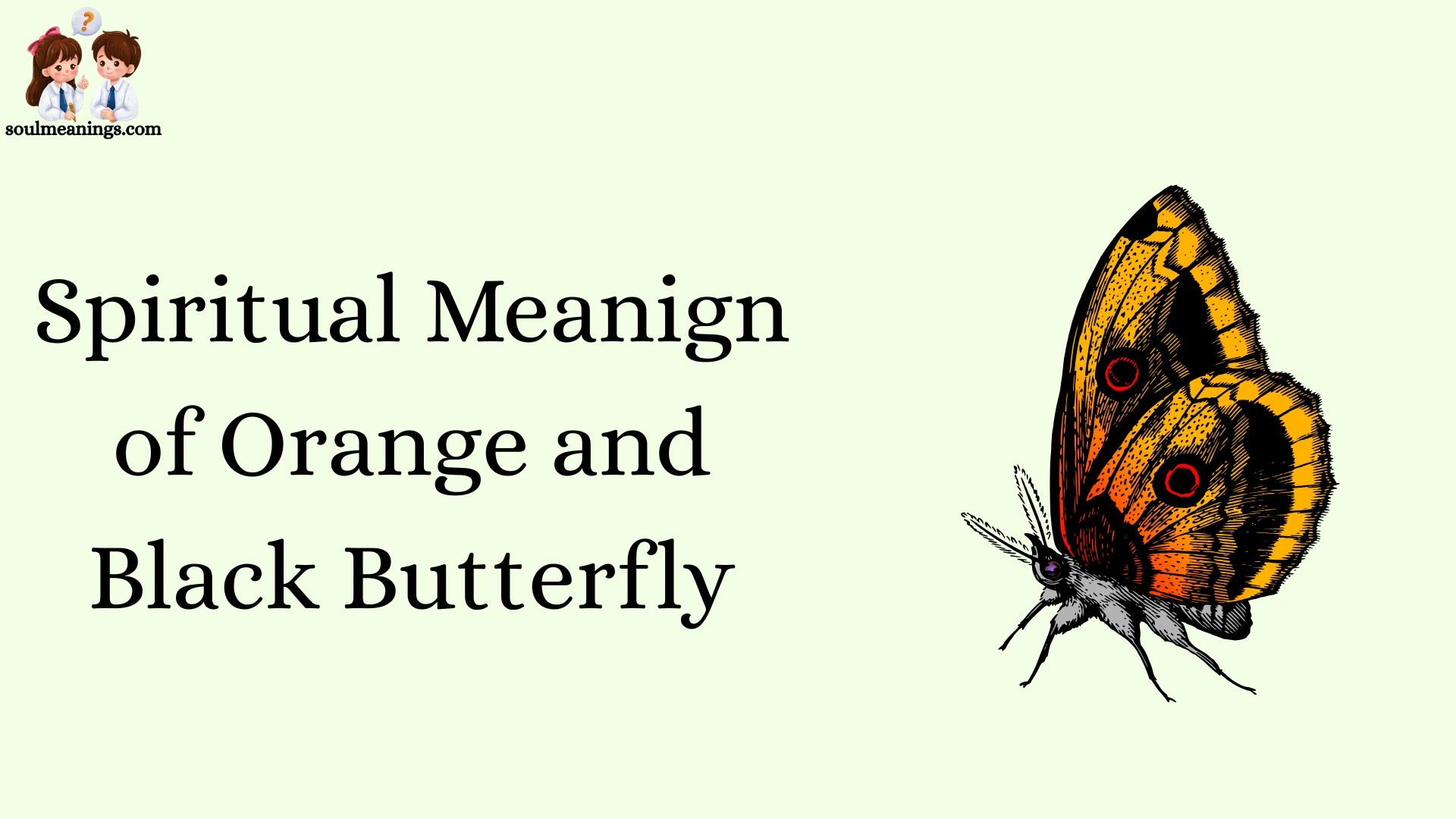 Spiritual Meanign of Orange and Black Butterfly