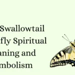 Tiger Swallowtail Butterfly Spiritual Meaning and Symbolism