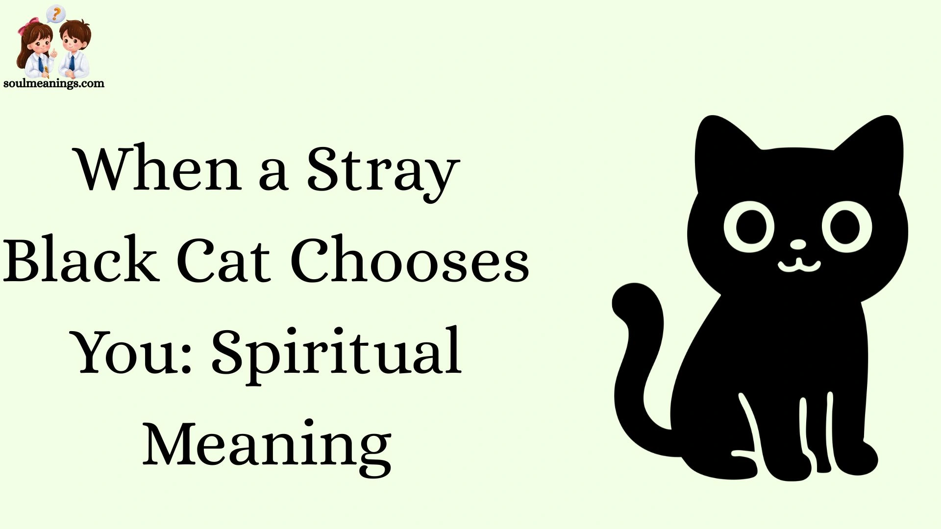When a Stray Black Cat Chooses You: Spiritual Meaning