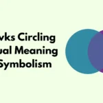 2 Hawks Circling Spiritual Meaning
