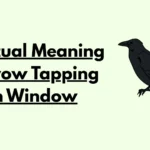 Spiritual Meaning of Crow Tapping on Window