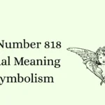 Angel Number 818 Spiritual Meaning and Symbolism
