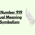 Angel Number 919 Spiritual Meaning