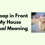 Dog Poop in Front of My House Spiritual Meaning