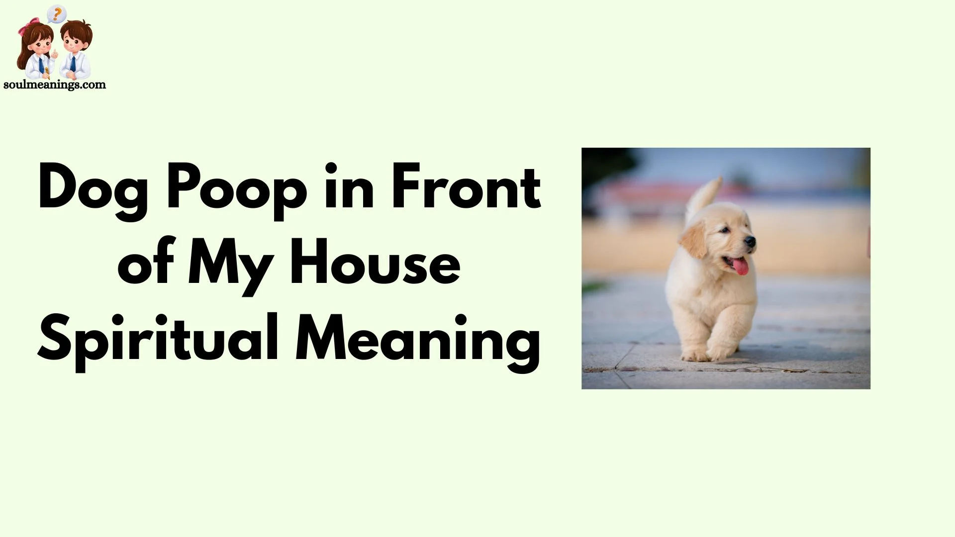 Dog Poop in Front of My House Spiritual Meaning
