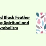 Grey and Black Feather Meaning Spiritual