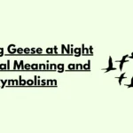 Hearing Geese at Night Spiritual Meaning