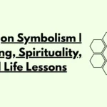 Hexagon Symbolism