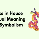 Snake in House Spiritual Meaning