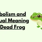 Spiritual Meaning of a Dead Frog