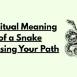Spiritual Meaning of a Snake Crossing Your Path