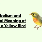 Spiritual Meaning of Seeing a Yellow Bird