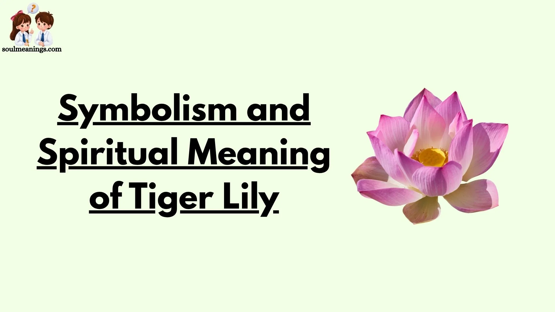Symbolism and Spiritual Meaning of Tiger Lily
