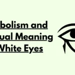 Symbolism and Spiritual Meaning of White Eyes