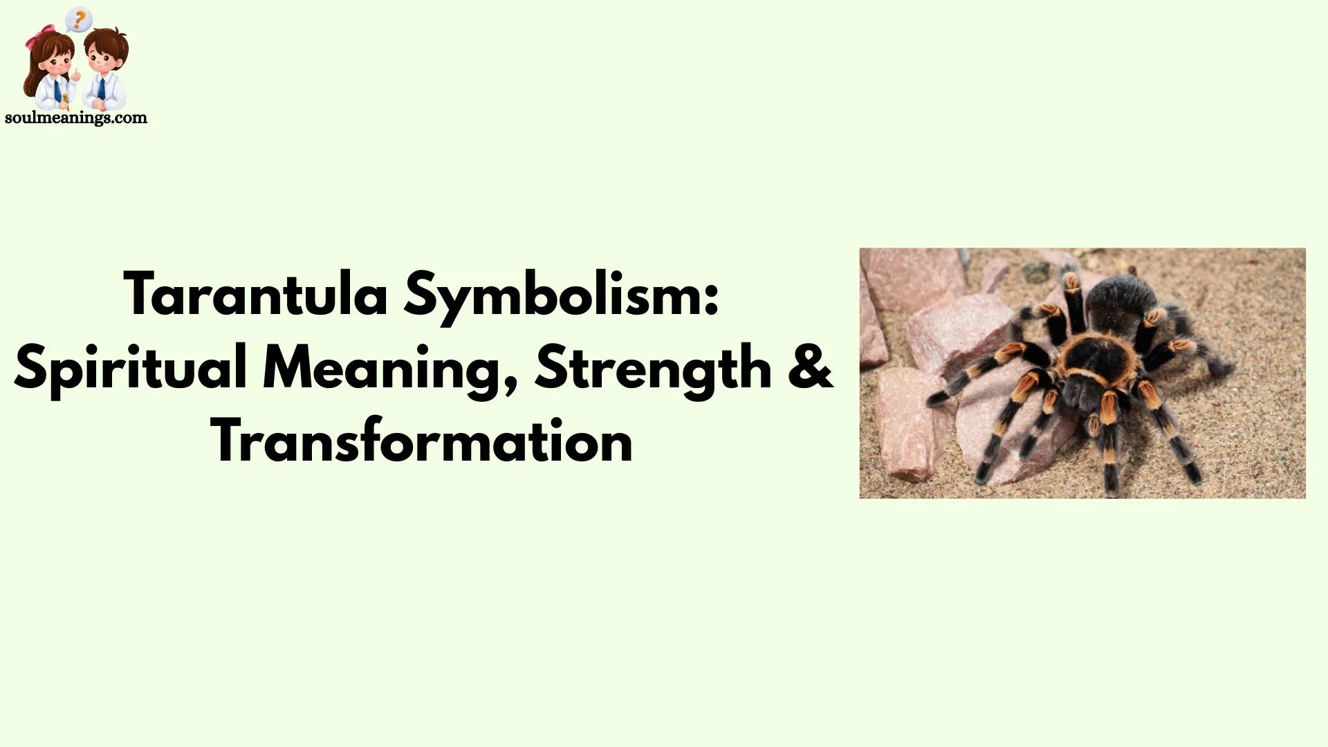 Tarantula Symbolism